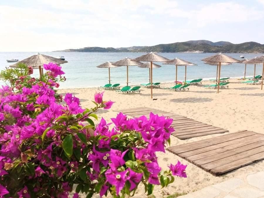 Vilas In The Garden By The Sea Sykia Chalkidikis Exteriör bild